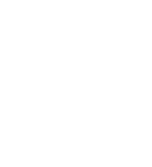 Servicios Financieros Globales